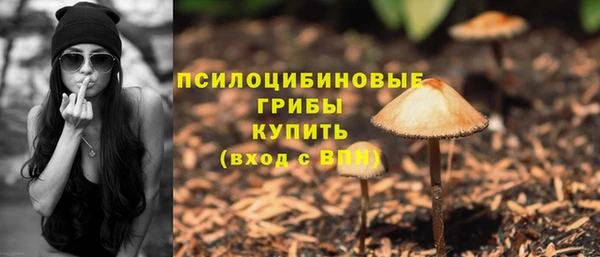 мяу мяу мука Абаза