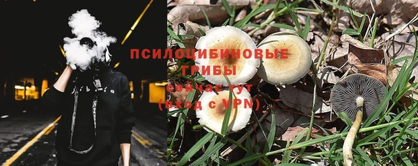 2c-b Абдулино
