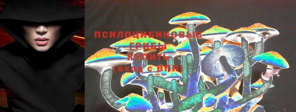 мяу мяу мука Абаза