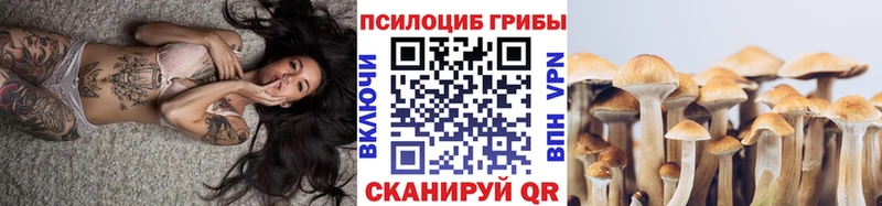 Галлюциногенные грибы прущие грибы  Спас-Клепики 